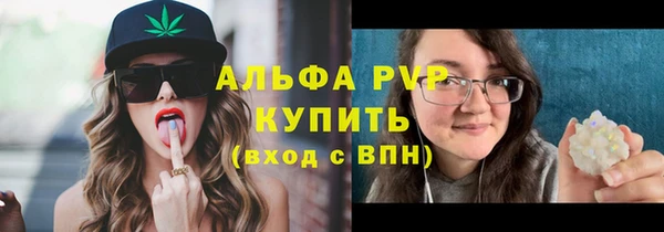 скорость Козловка